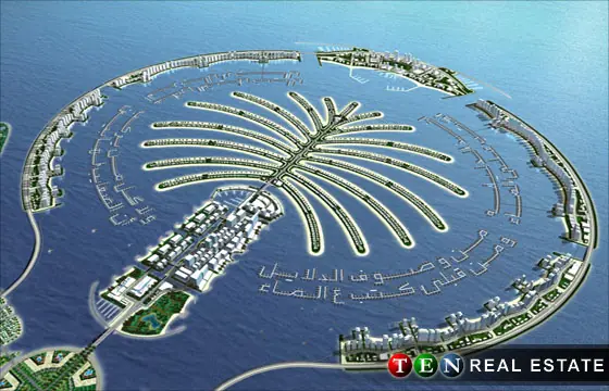 palmera