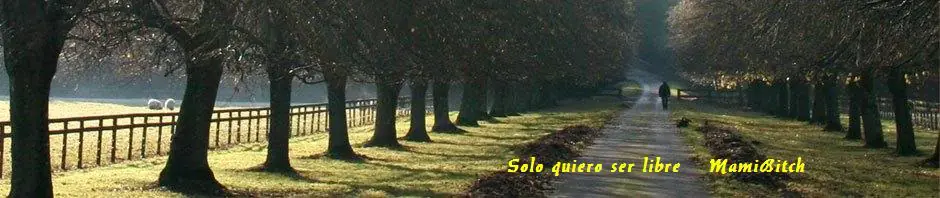 Narcolepsia: sueño sin previo aviso