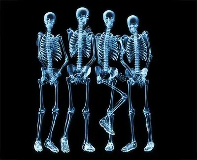 Mega-post cuerpo humano