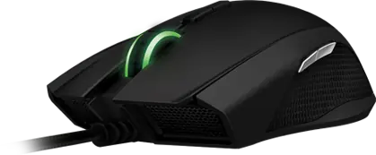 mouse