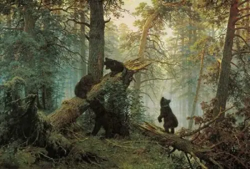 gato