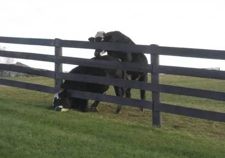 Humor Gráfico del bueno!