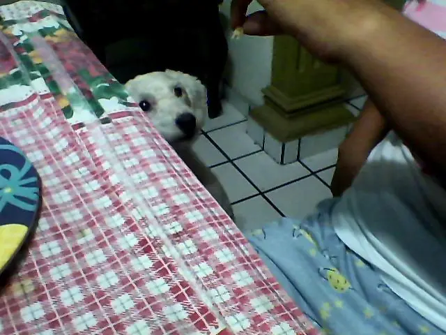 cena