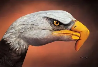arte