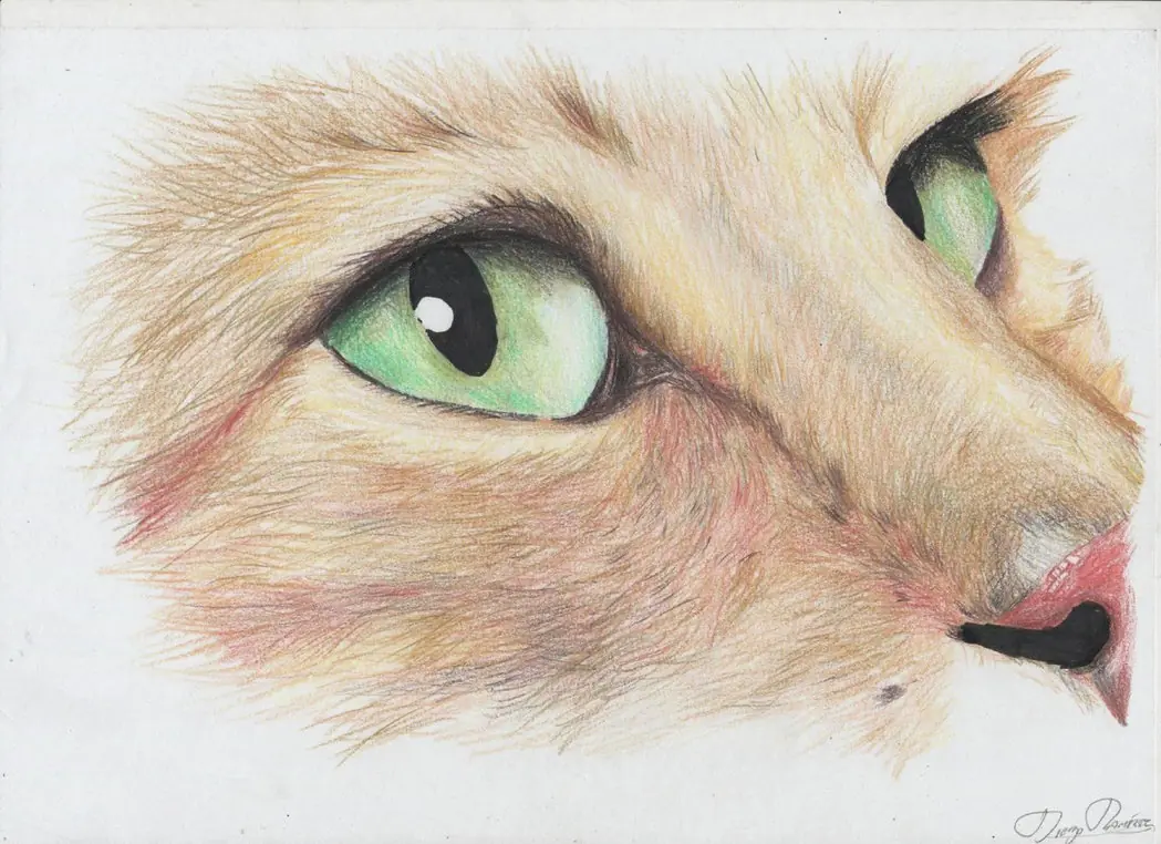 Ultimos dibujos (de todo un poco)