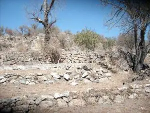 Piedras