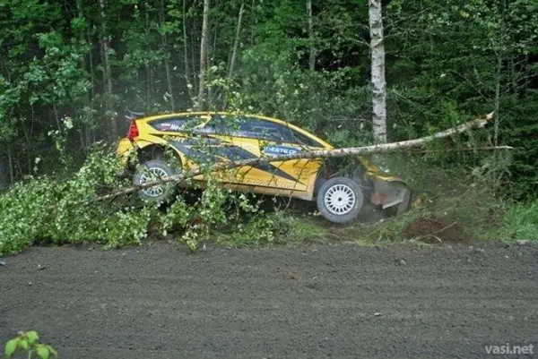 Rally