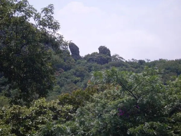 el zapato