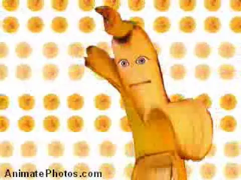videos
