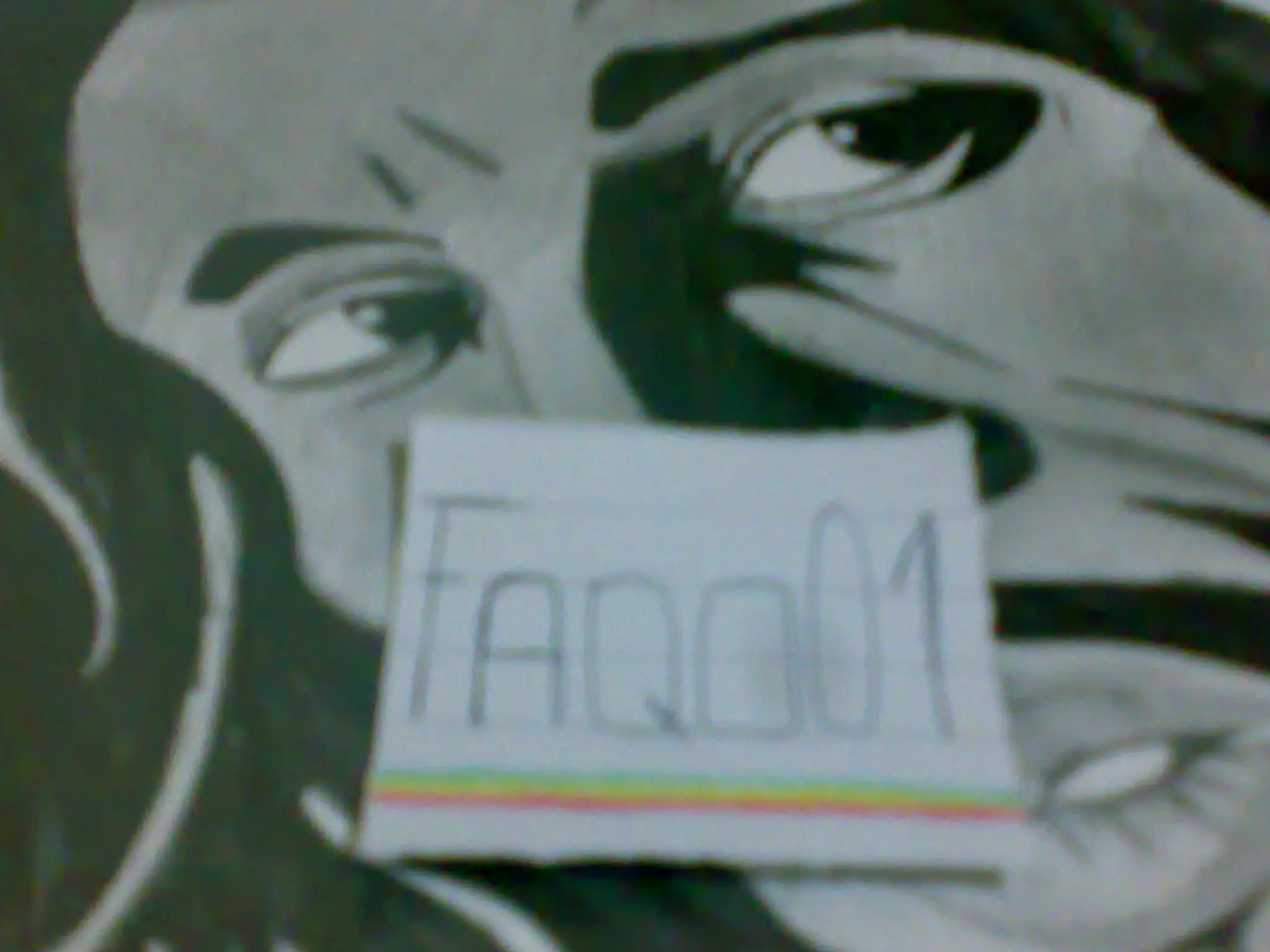 faqo01