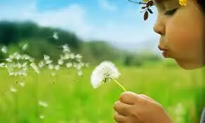 ¿Qué se siente vivir sin un propósito?