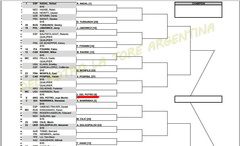 Juan Martín del Potro aún no decidió si jugará en Miami
