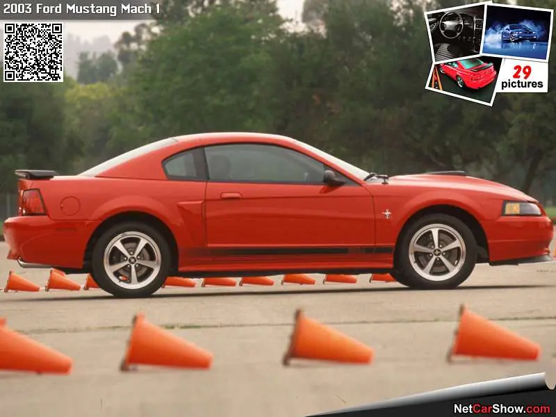 mustang