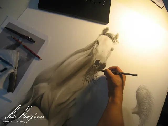 Caballo 1mt x 70cm