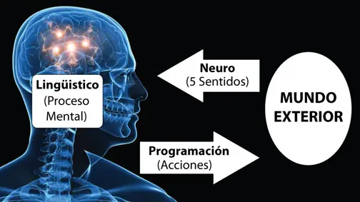 Programacion