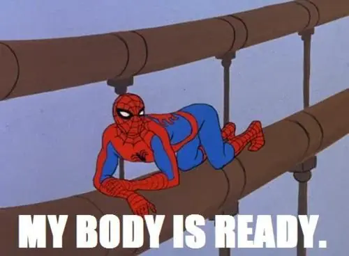 Spider Meme
