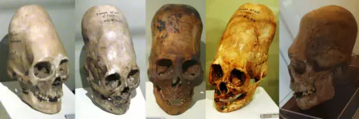 humanos