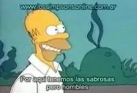 homero simpson