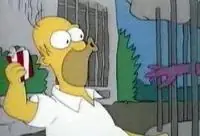 lisa simpson