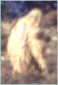himalaya