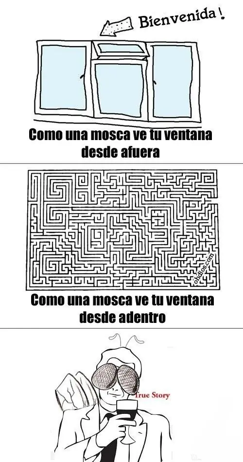Post de viñetas y memes,(Entras y te Reís;)