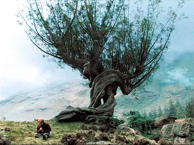 ¿Lo Sabias? (Películas y cine)