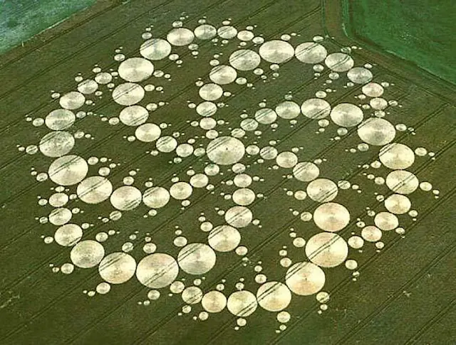 Simetría en la Naturaleza, impresionante.