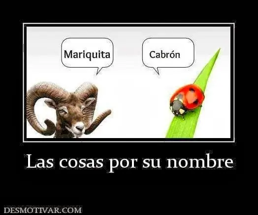 frases comicas