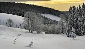 1893