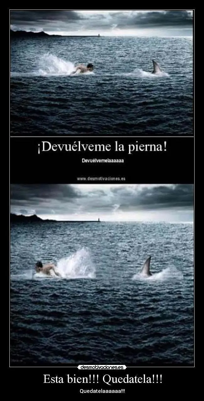 humor