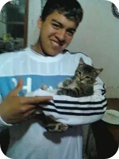 taringa