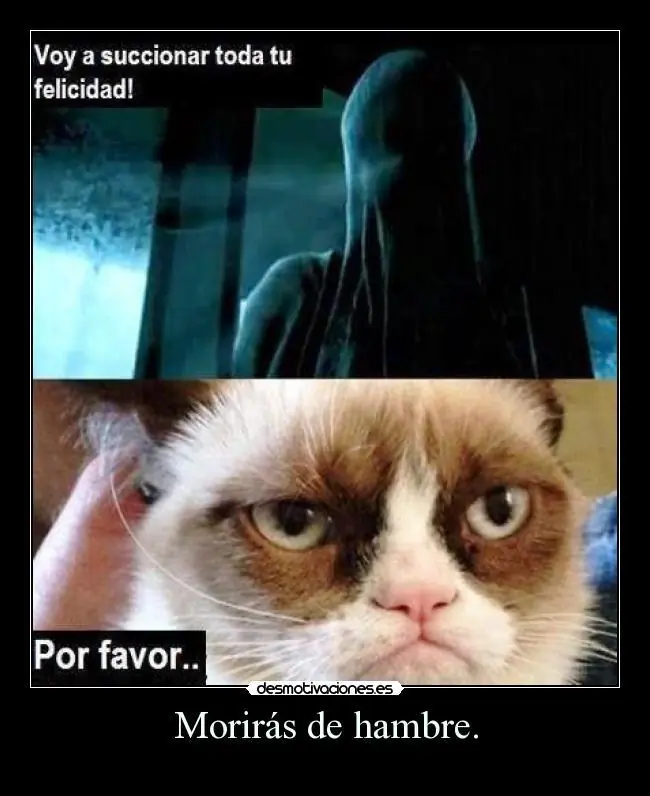 Algo de Humor
