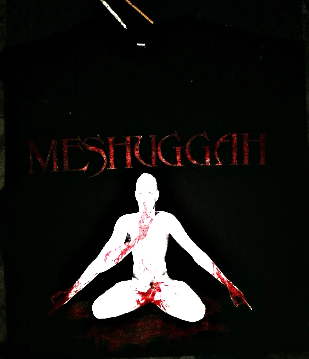 Hice una remera de Meshuggah!