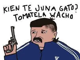 inspector