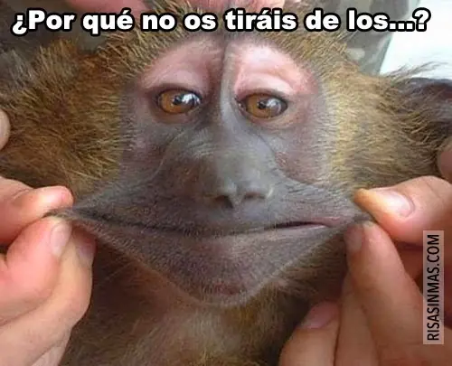 risa