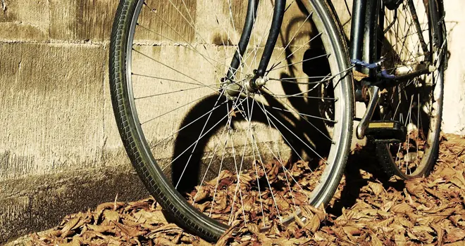 El origen de… la bicicleta