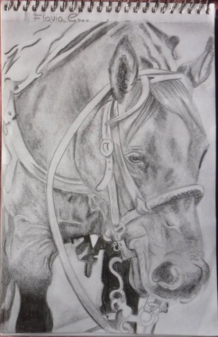 Mis Dibujos de Caballos