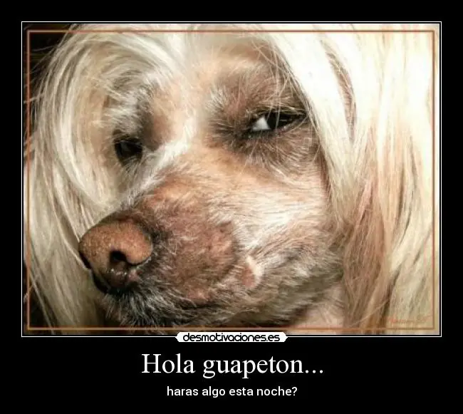 desmotivaciones