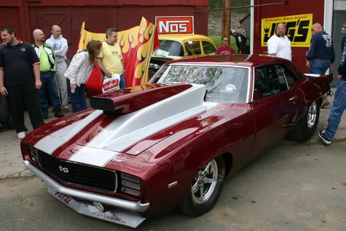 muscle