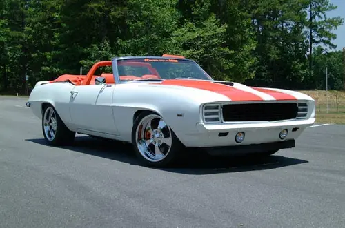 muscle