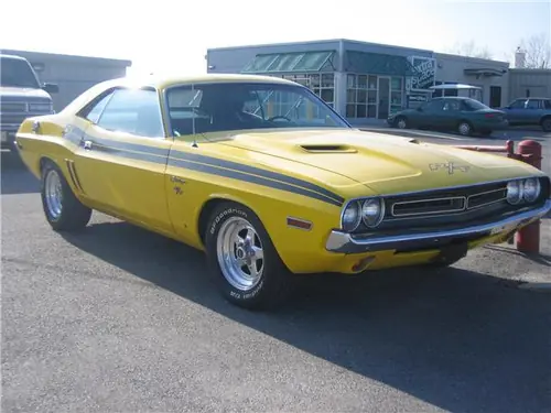 muscle