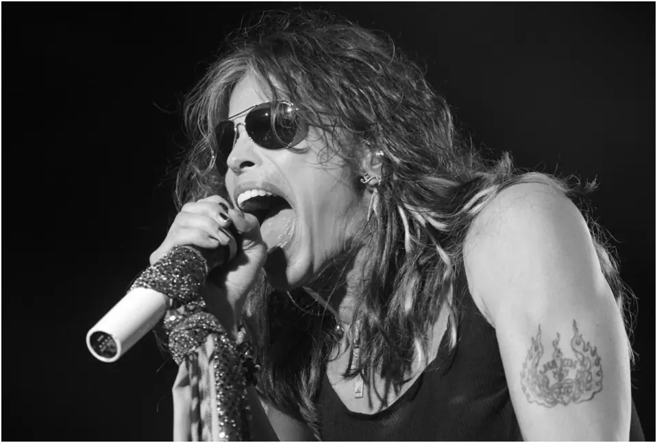 Dibujo de Steven Tyler a lápiz