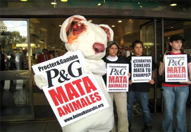 maltrato