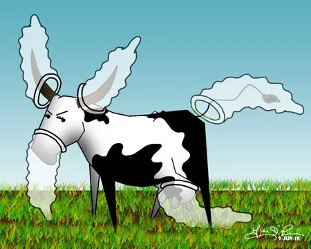 Sin Papas, Comida o Condones