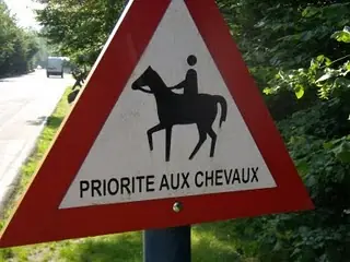carteles