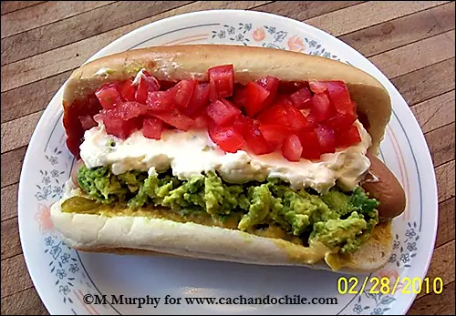 Comida Típica Chilena: El Completo