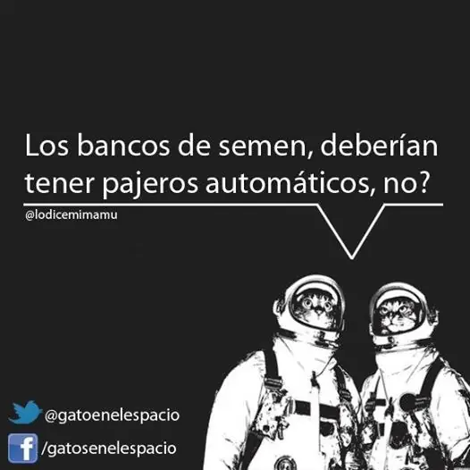 Chistes