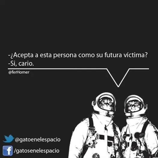 Gatos en el Espacio