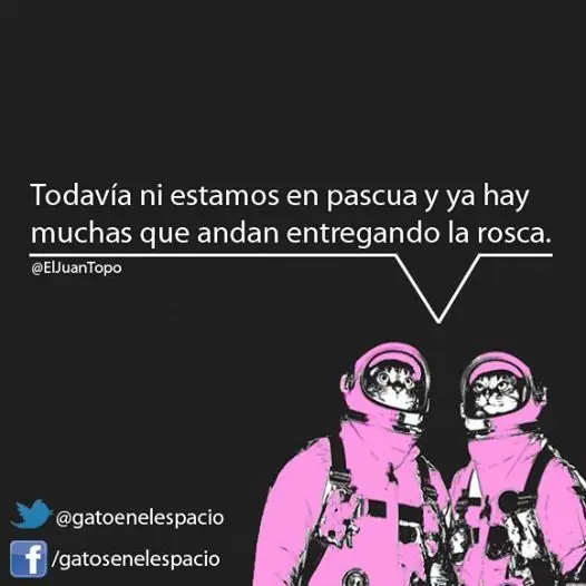 Gatos en el Espacio