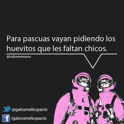 Gatos en el Espacio